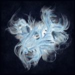 Sane (Novit Terminus Remix) album cover